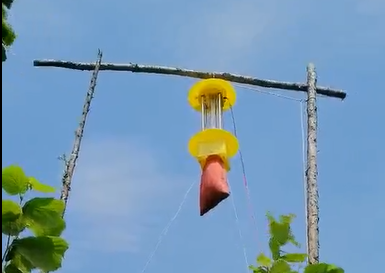 視頻展示太陽能殺蟲燈殺蟲效果，真的牛