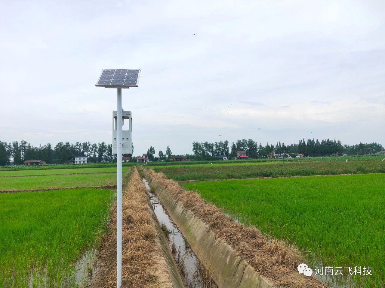 云飛風吸式太陽能殺蟲燈